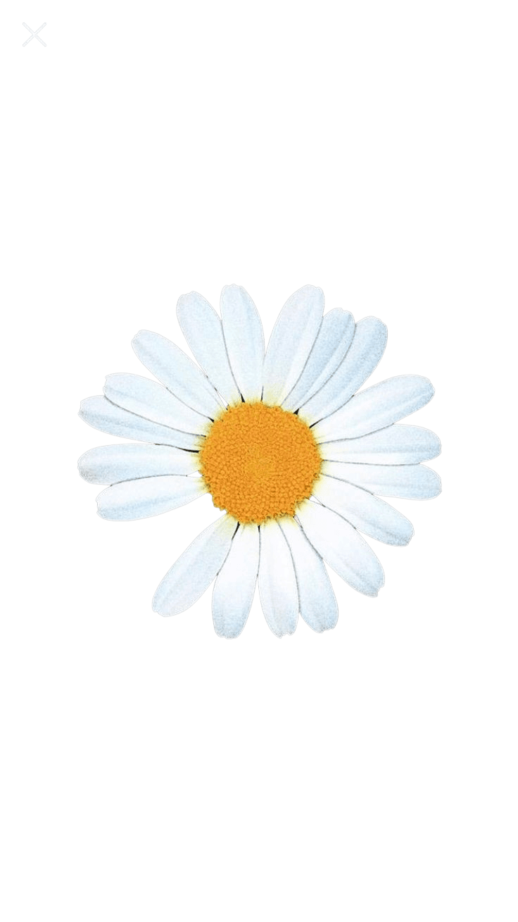JUSPEACE flower