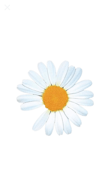 JUSPEACE flower