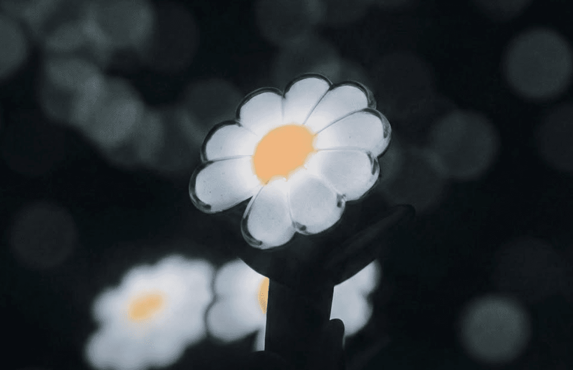 Daisy light